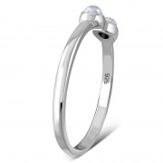 R574RMS 1.8 x 4.3 03.jpg